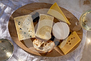 French cheese collection on marble board, emmental, carre de aurillac, petit cantal AOP Jeune, buche chevre, brie