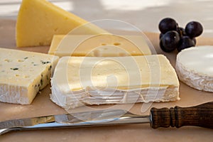 French cheese collection on marble board, emmental, carre de aurillac, petit cantal AOP Jeune, buche chevre, brie