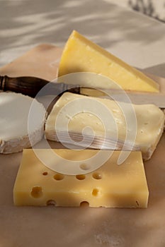 French cheese collection on marble board, emmental, carre de aurillac, petit cantal AOP Jeune, buche chevre, brie