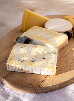 French cheese collection on marble board, emmental, carre de aurillac, petit cantal AOP Jeune, buche chevre, brie