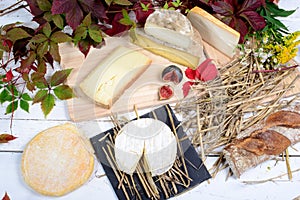 French cheese platter