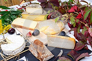 French cheese platter