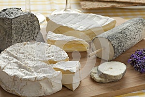 French cheese platter photo