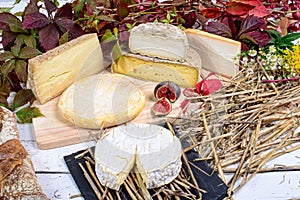 French cheese platter