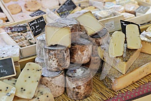 French cheese at Provence market