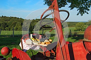 French cheese wine and bread