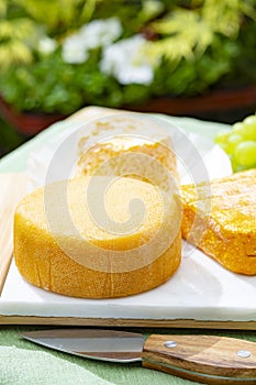 French cheeses collection, Riche de Saveurs, Langres and Le peche des bons peres cheeses served on white marble plate outdoor in