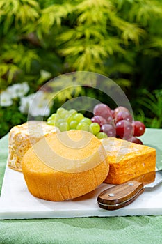 French cheeses collection, yellow Riche de Saveurs and Le peche des bons peres cheeses served on white marble plate outdoor in