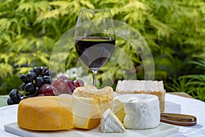 French cheeses collection, yellow Riche de Saveurs, Vieux Pane and Le peche des bons peres cheeses served with glass of red port