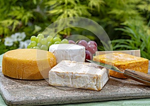 French cheeses collection, yellow Riche de Saveurs, Vieux Pane and Le peche des bons peres cheeses served on marble plate outdoor