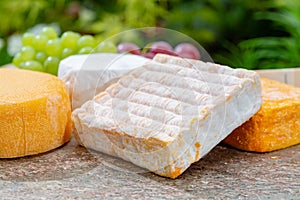 French cheeses collection, yellow Riche de Saveurs, Vieux Pane and Le peche des bons peres cheeses served on marble plate outdoor