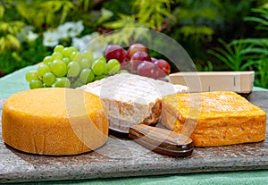 French cheeses collection, yellow Riche de Saveurs, Vieux Pane and Le peche des bons peres cheeses served on marble plate outdoor