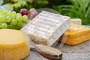 French cheeses collection, yellow Riche de Saveurs, Vieux Pane and Le peche des bons peres cheeses served on marble plate outdoor