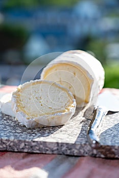 French cheeses, cylindrical neufchatel cow cheese with mold, NeufchÃ¢tel-en-Bray, Normandy, France