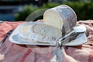 French cheeses, cylindrical neufchatel cow cheese with mold, NeufchÃ¢tel-en-Bray, Normandy, France