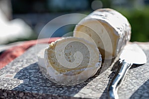 French cheeses, cylindrical neufchatel cow cheese with mold, NeufchÃ¢tel-en-Bray, Normandy, France