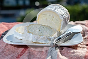 French cheeses, cylindrical neufchatel cow cheese with mold, NeufchÃ¢tel-en-Bray, Normandy, France