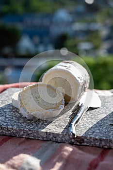 French cheeses, cylindrical neufchatel cow cheese with mold, NeufchÃ¢tel-en-Bray, Normandy, France