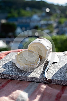 French cheeses, cylindrical neufchatel cow cheese with mold, NeufchÃ¢tel-en-Bray, Normandy, France