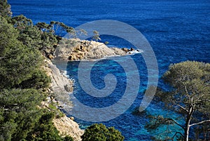 French Coast Line with Rocks and Trees