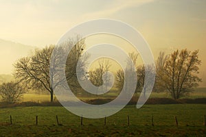 French countryside