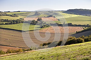 Francés campo más cercano en regionalmente sombreros en norte Francia 