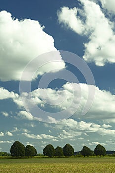 French countryside summer sky landscape with trees