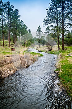 The French Creek in Custer State Park, South Dakota