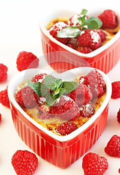 French creme brulee dessert