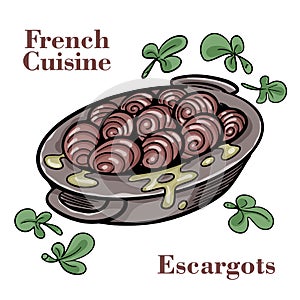 French cuisine - Escargot with sauce