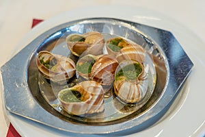 French cuisine Escargots de Bourgogne - Snails with herbs butter