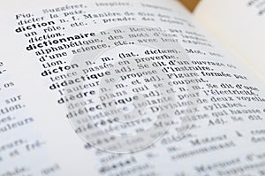 French Dictionary at the word Dictonary