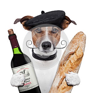 French dog wine baguete beret photo