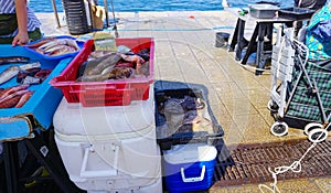 French fisherman selling fresh fish at Vieux Port in Marseille, France.