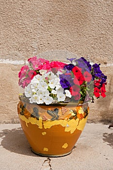 French flower pot