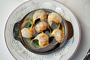 French Food on a Plate, 6 Snails,