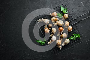 French food. Snails on a black stone background with parsley and lemon. Top view. Free space for your text