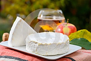 French food, soft cheeses with white mold brie and camembert and golden apple cider from Bretagne served ourdoor in autumn garden