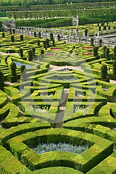 French formal garden