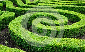 French formal garden in Paris