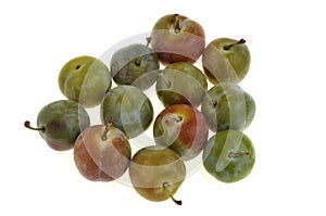 French fresh greengage isolated