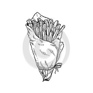 French fries in craft paper cone. Sketch style hand drawn illustration. Fried potato. Fast food retro artwork. Vector image