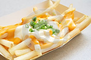 French Fries with Melted Cheese photo