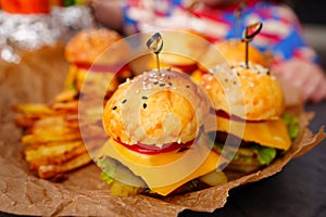 french fries and Mini burgers for a children's party or picnic.