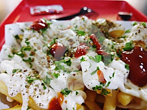 French fries with toppings