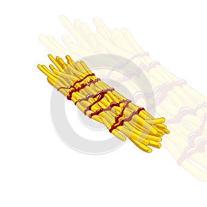 FRENCH FRIES VECTOR DESIGN