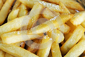 french fry photo