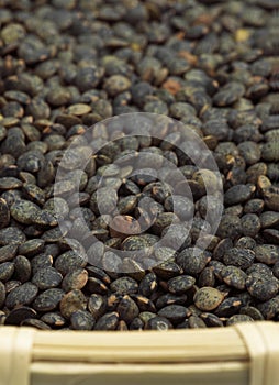 French Green Lentils called Puy Lentils