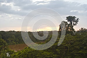 French Guiana forest photo