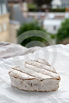 French heartshaped neufchatel cow cheese with mold on white paper, Normandy, France